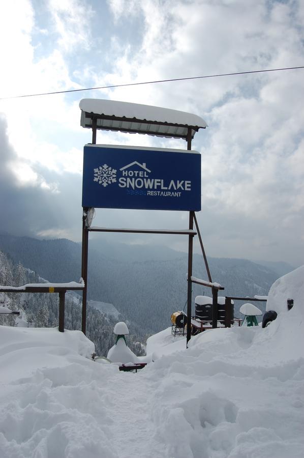 Hotel Snowflake Narkanda Exterior photo